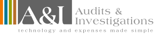 Audits & Investigations Logo